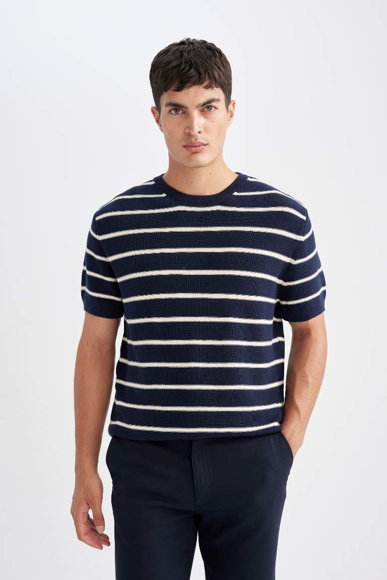 Standard Fit Crew Neck Cotton Striped T-Shirt