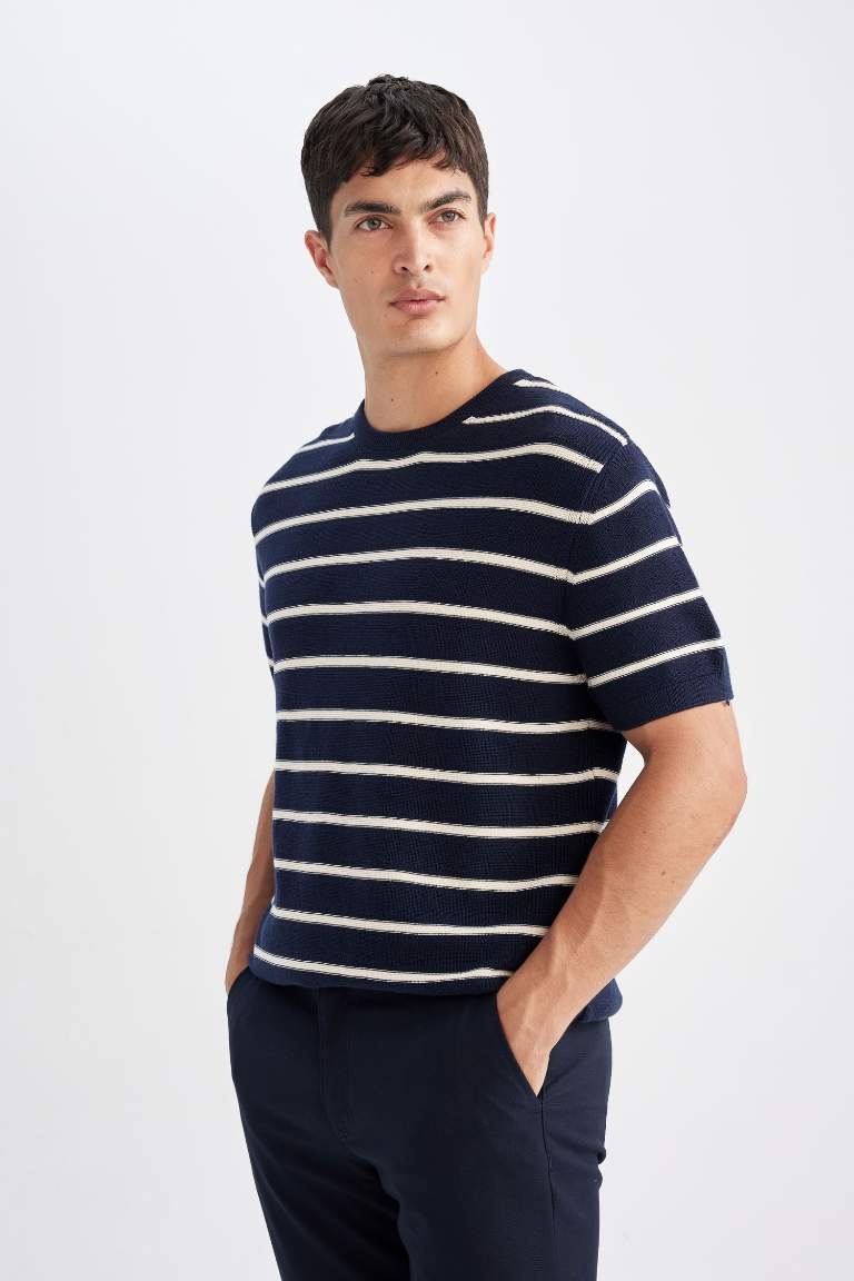 Standard Fit Crew Neck Cotton Striped T-Shirt