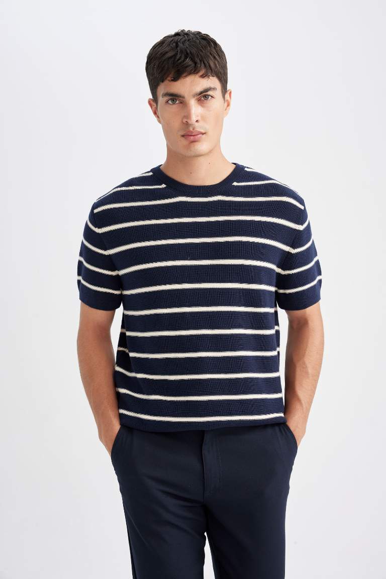 Standard Fit Crew Neck Cotton Striped T-Shirt