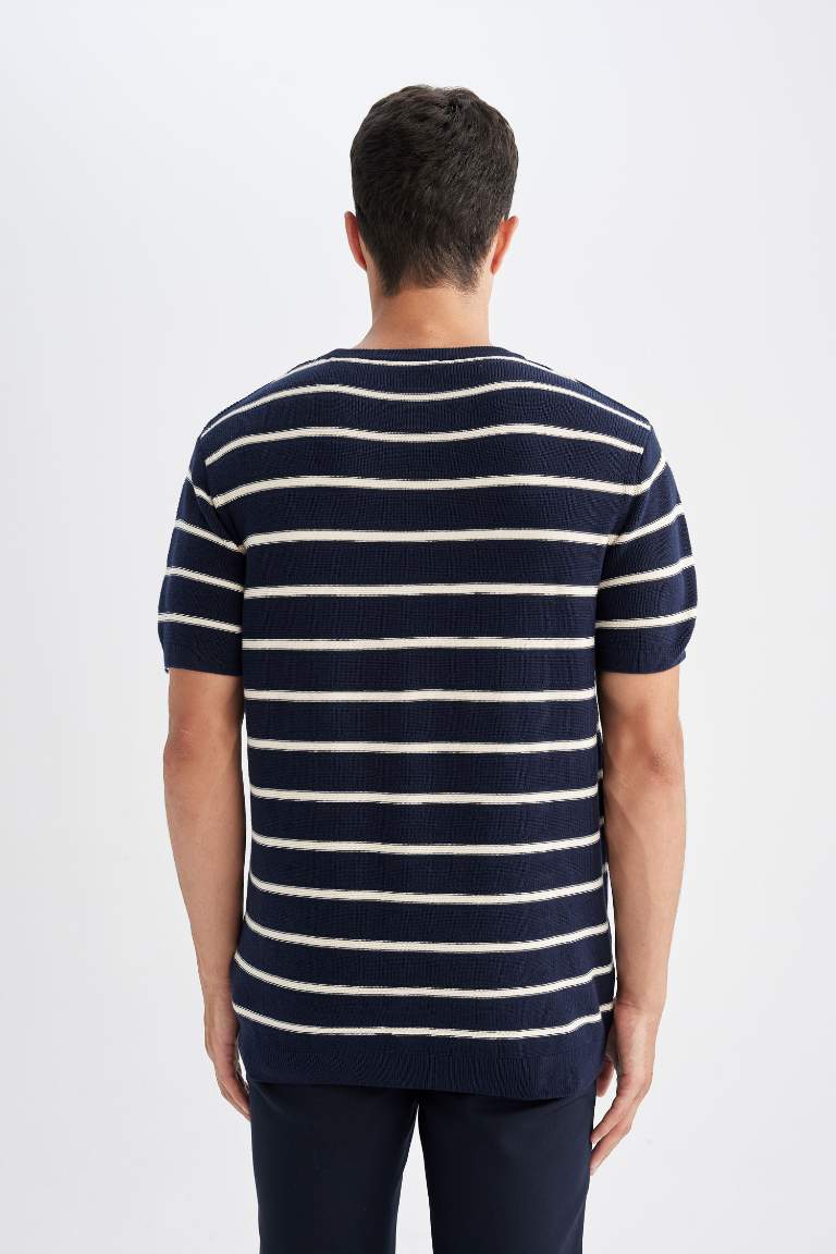 Standard Fit Crew Neck Cotton Striped T-Shirt