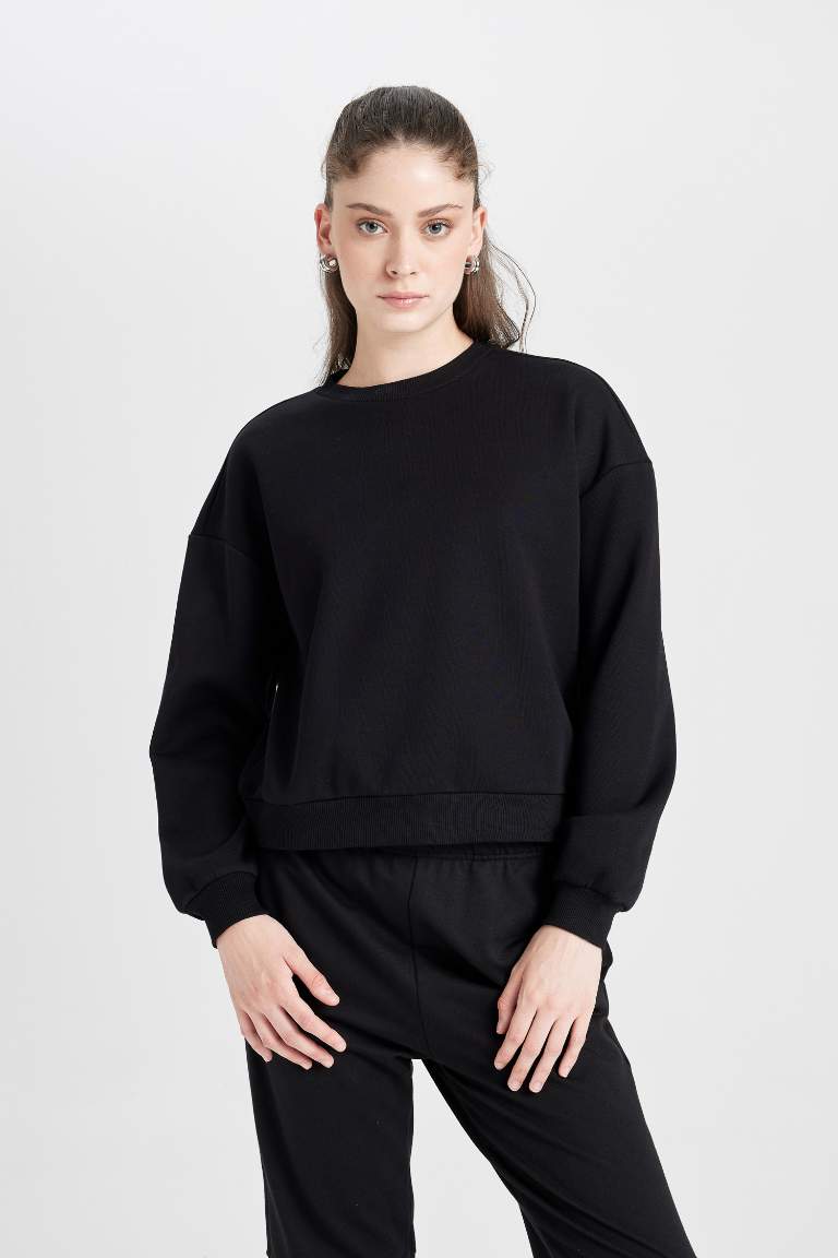 Regular Fit Crew Neck Thick Basic Sweatshirt