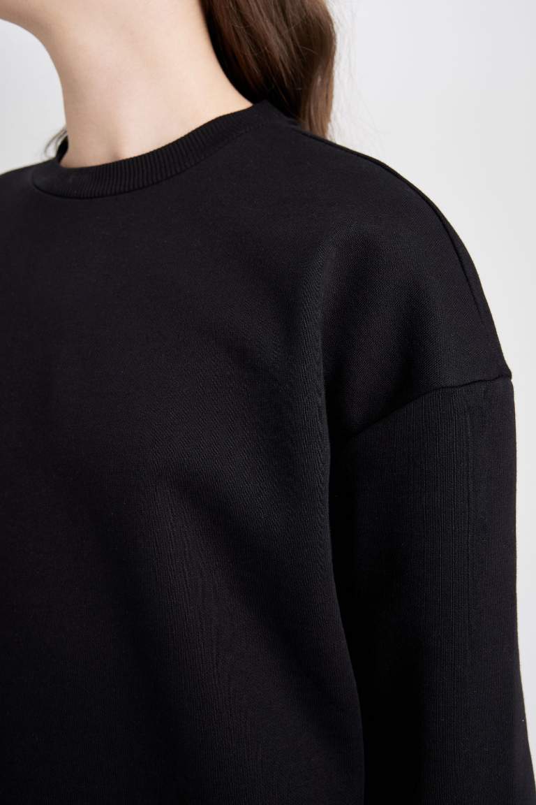 Regular Fit Crew Neck Thick Basic Sweatshirt