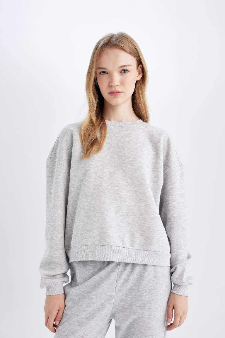 Regular Fit Thick Fabric Basic Sweatshirt