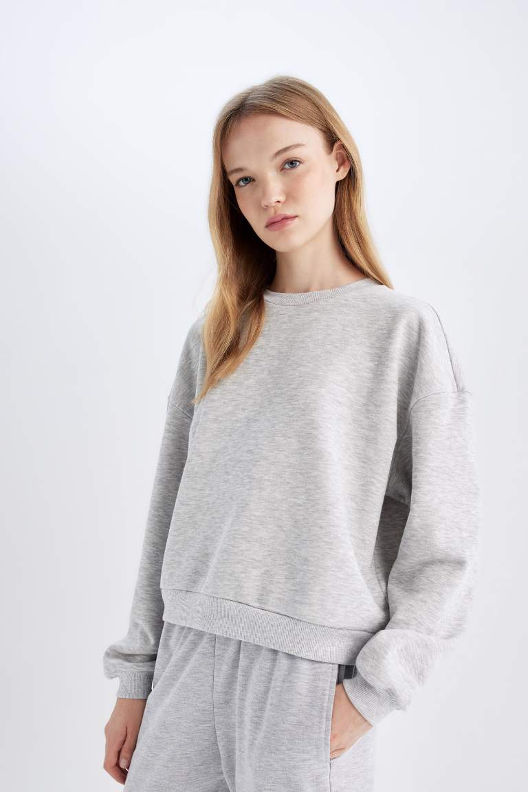 Regular Fit Thick Fabric Basic Sweatshirt