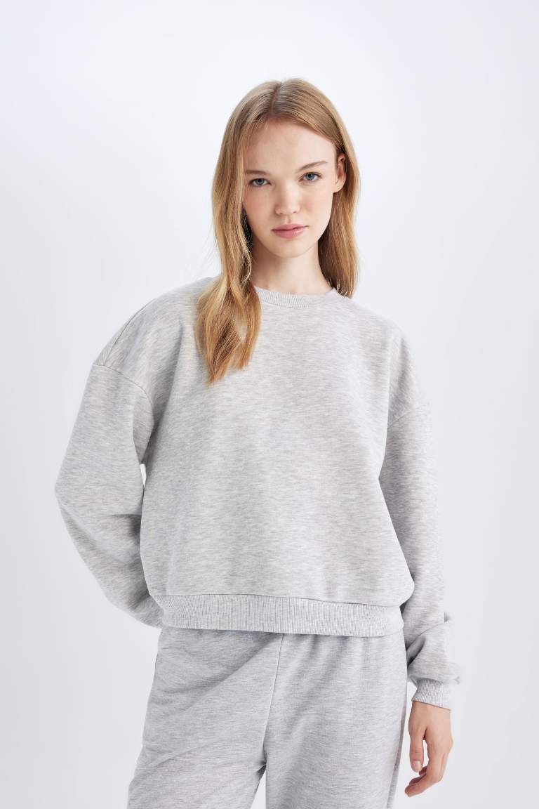 Regular Fit Thick Fabric Basic Sweatshirt