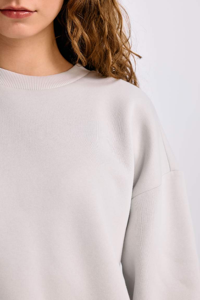 Regular Fit Long Sleeve Sweatshirt