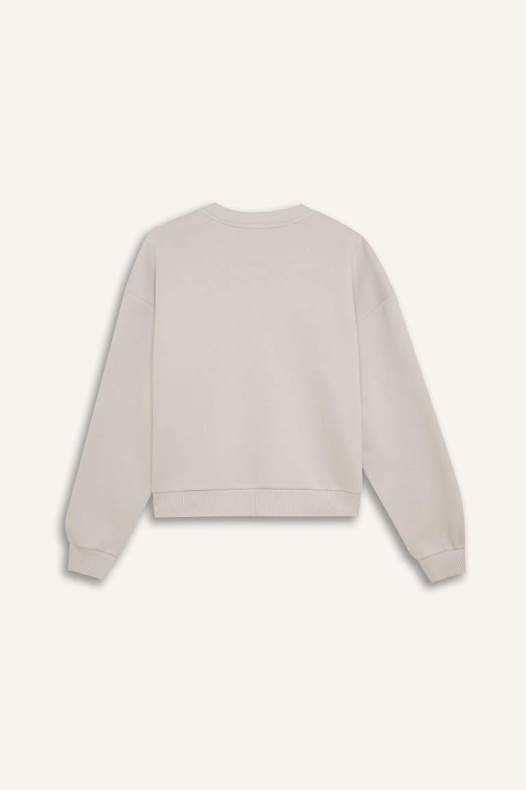 Regular Fit Long Sleeve Sweatshirt