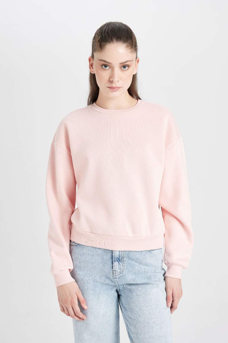 Regular Fit Crew Neck Thick Basic Sweatshirt