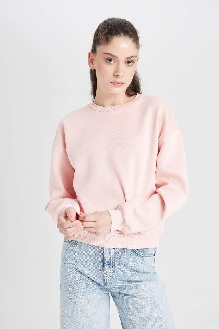 Regular Fit Crew Neck Thick Basic Sweatshirt