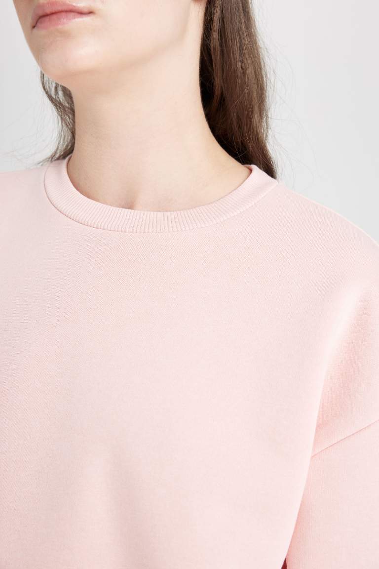 Regular Fit Crew Neck Thick Basic Sweatshirt