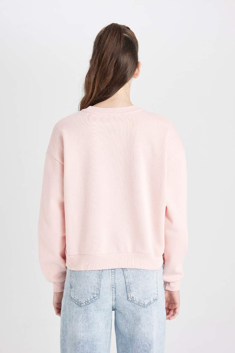 Regular Fit Crew Neck Thick Basic Sweatshirt