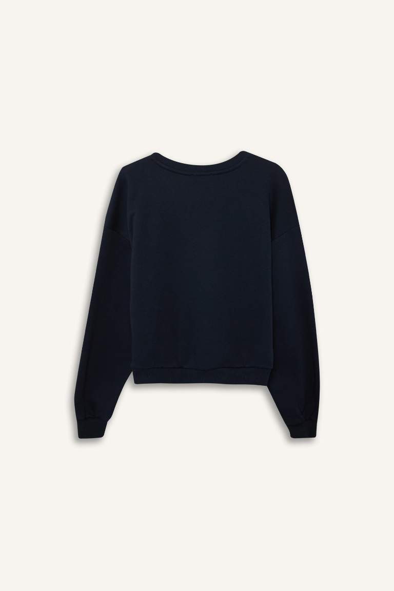 Regular Fit Crew Neck Thick Basic Sweatshirt