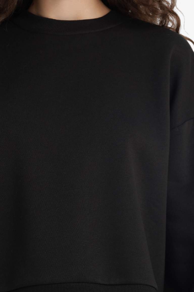Regular Fit Bisiklet Yaka Kalın Basic Düz Sweatshirt