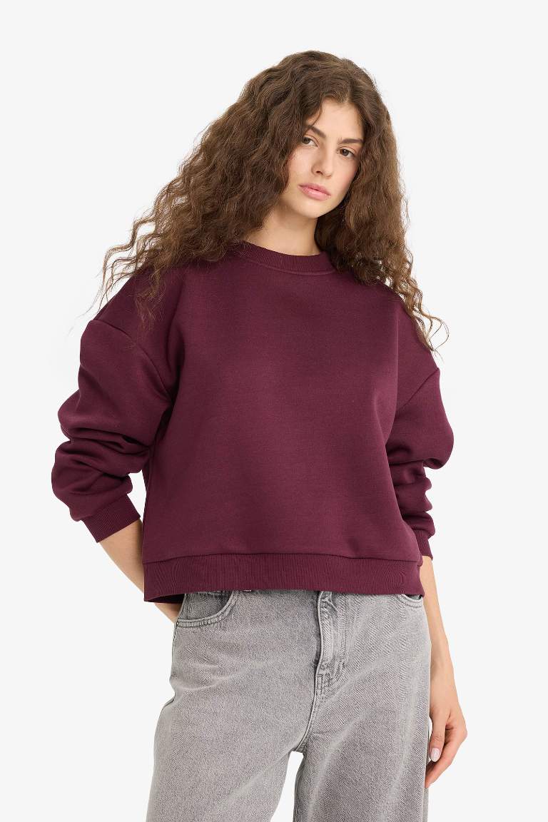 Regular Fit Bisiklet Yaka Kalın Sweatshirt