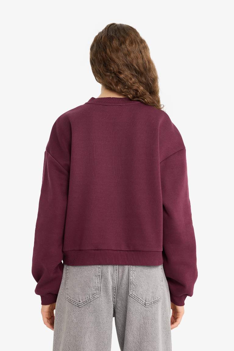Regular Fit Bisiklet Yaka Kalın Sweatshirt