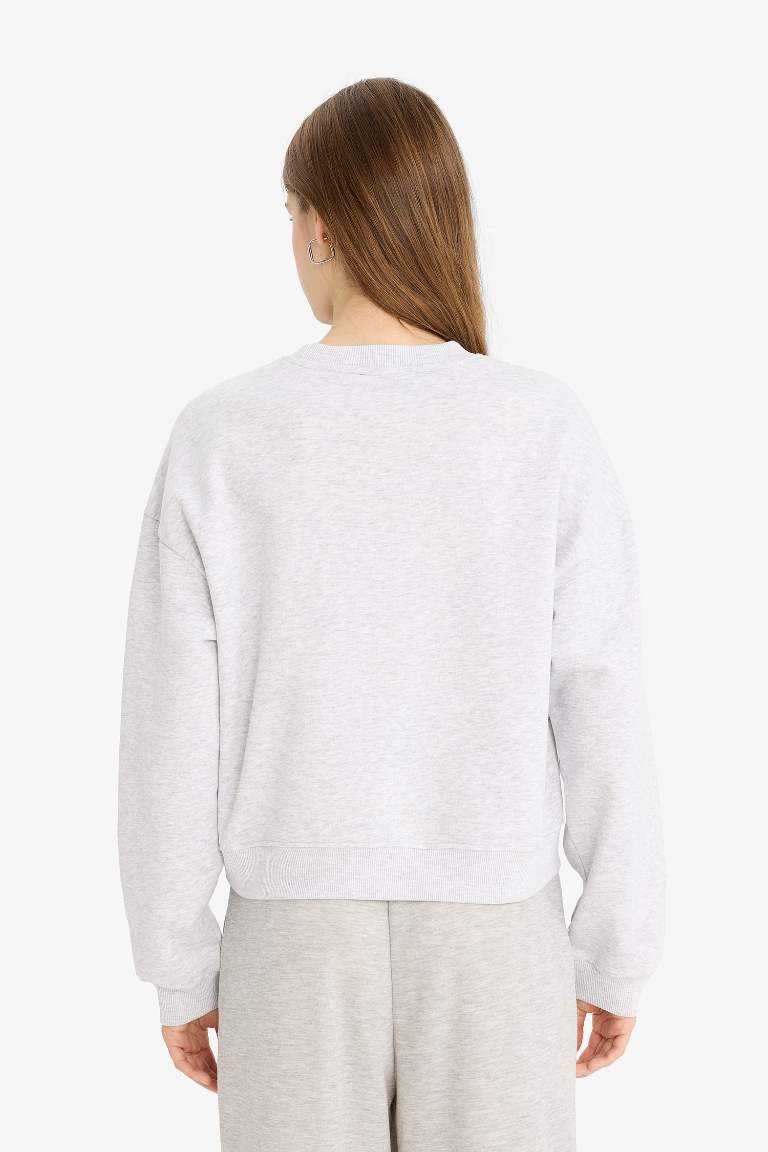 Regular Fit Bisiklet Yaka Kalın Basic Düz Sweatshirt