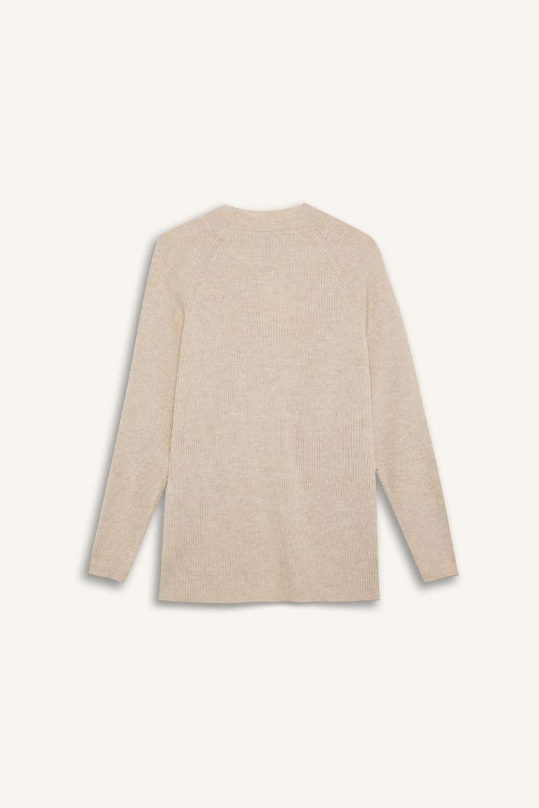 Regular Fit Crew Neck Basic Knitwear Pullover