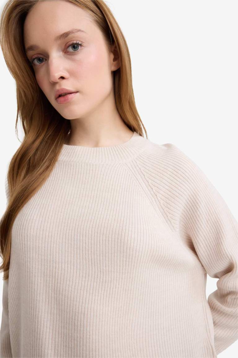 Regular Fit Crew Neck Pullover