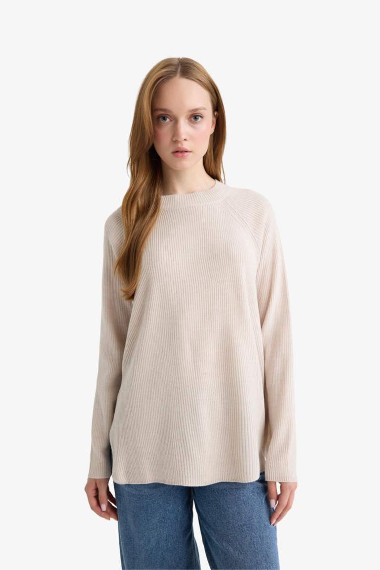 Regular Fit Crew Neck Pullover