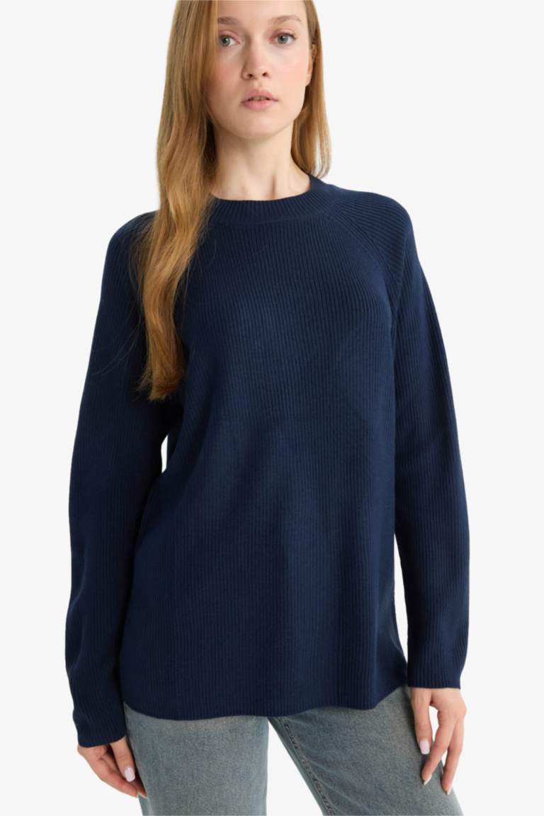 Regular Fit Crew Neck Pullover