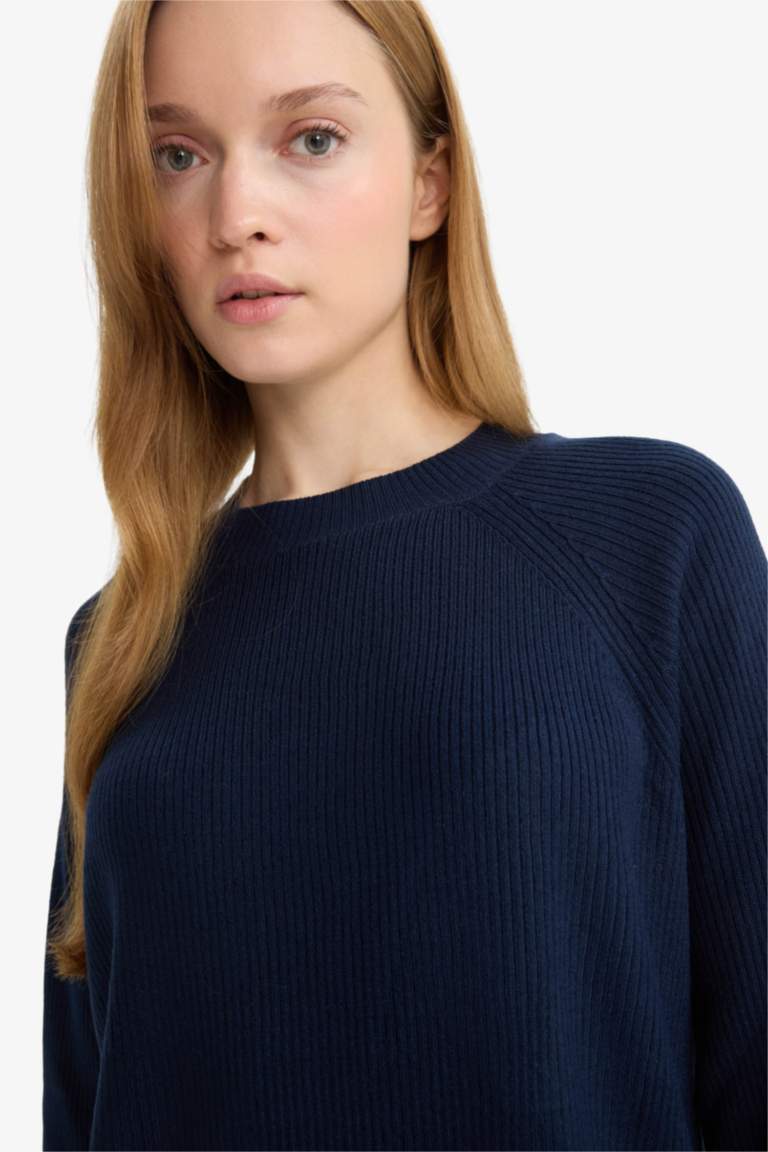 Regular Fit Crew Neck Pullover