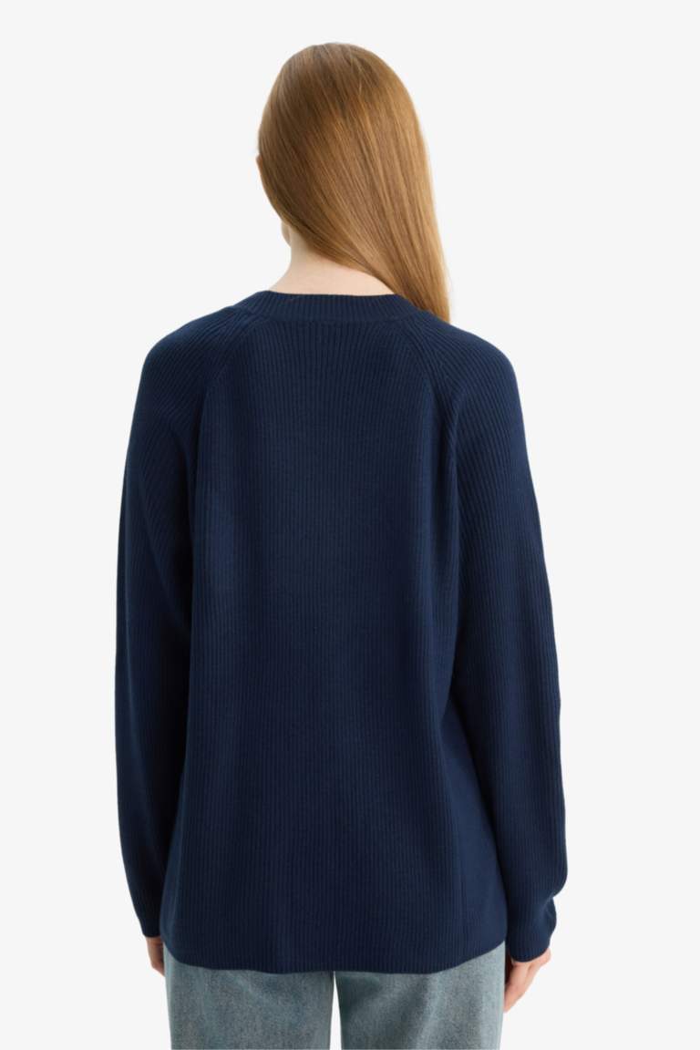 Regular Fit Crew Neck Pullover