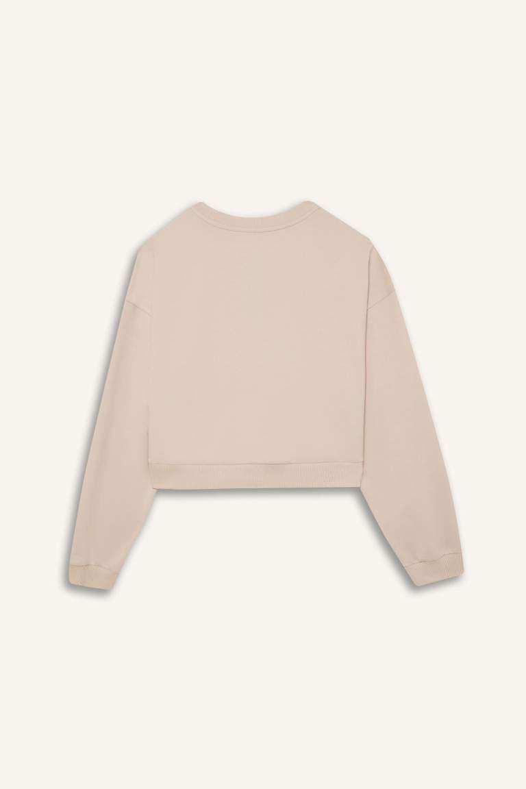 DeFactoFit Crew Neck Basic Sports Sweatshirt