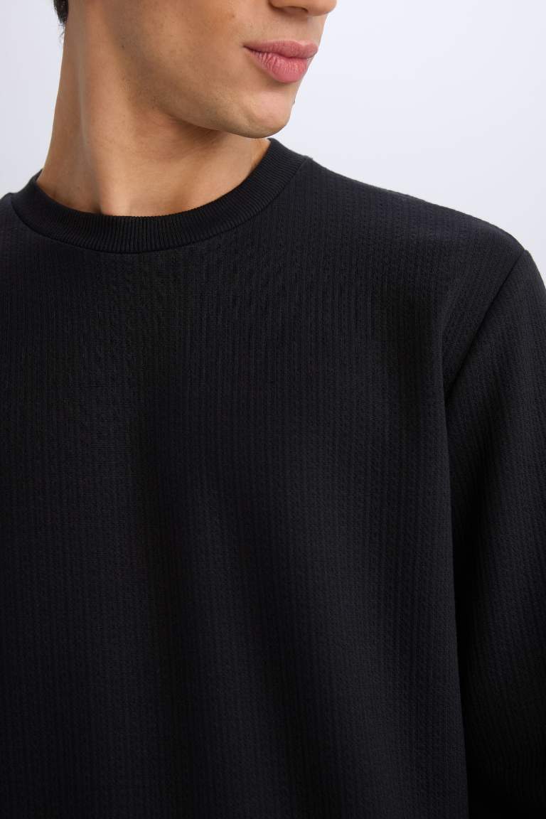 Regular Fit Crew Neck Basic Sweatshirt