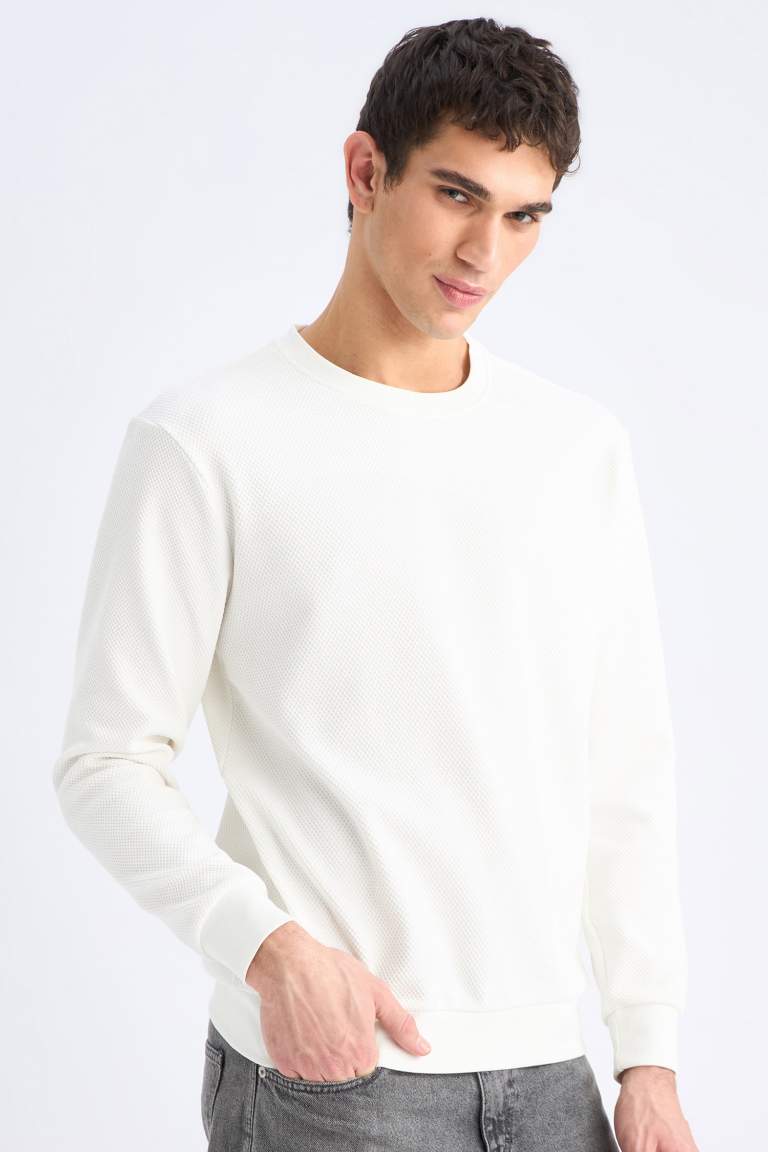 Regular Fit Long Sleeve Sweatshirt