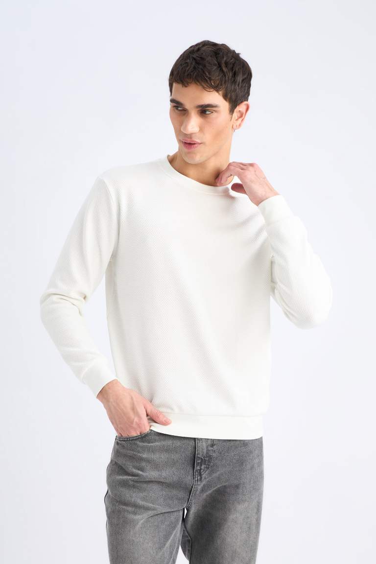 Regular Fit Long Sleeve Sweatshirt