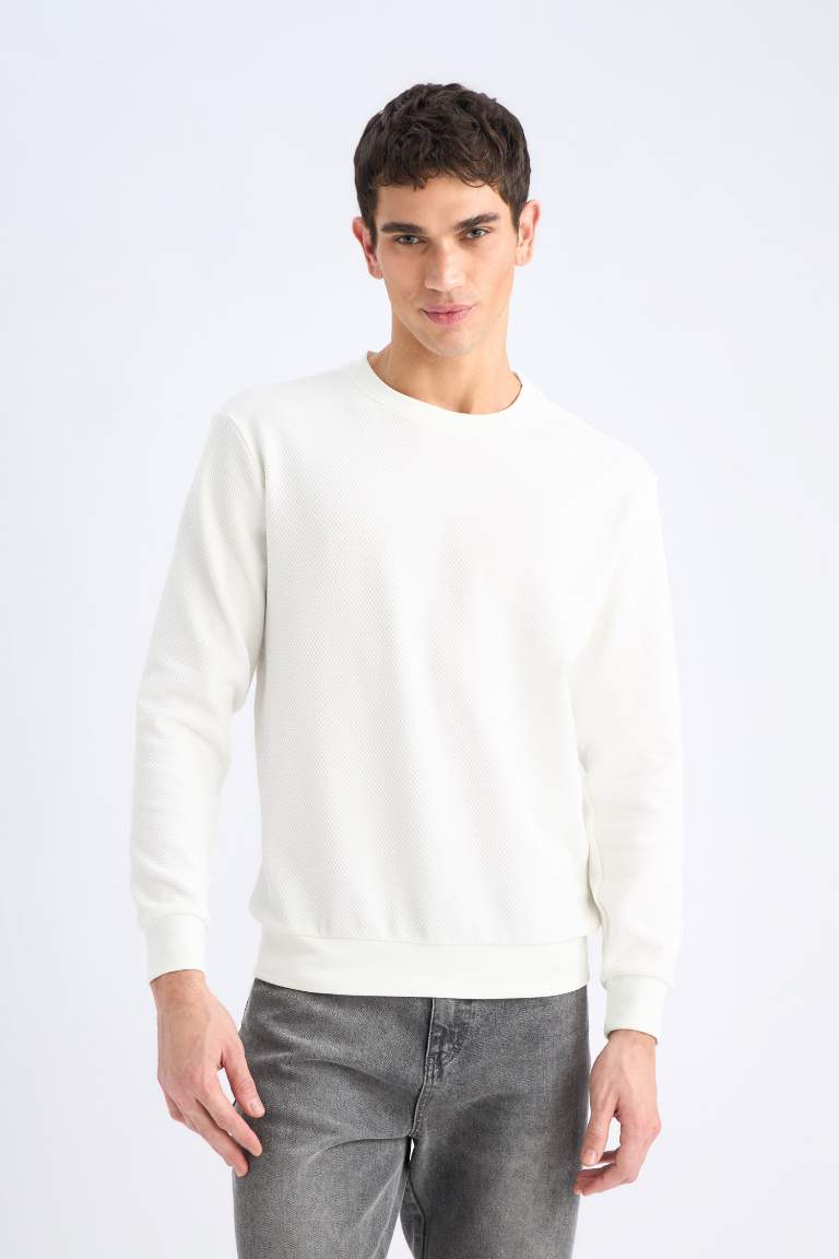 Regular Fit Long Sleeve Sweatshirt