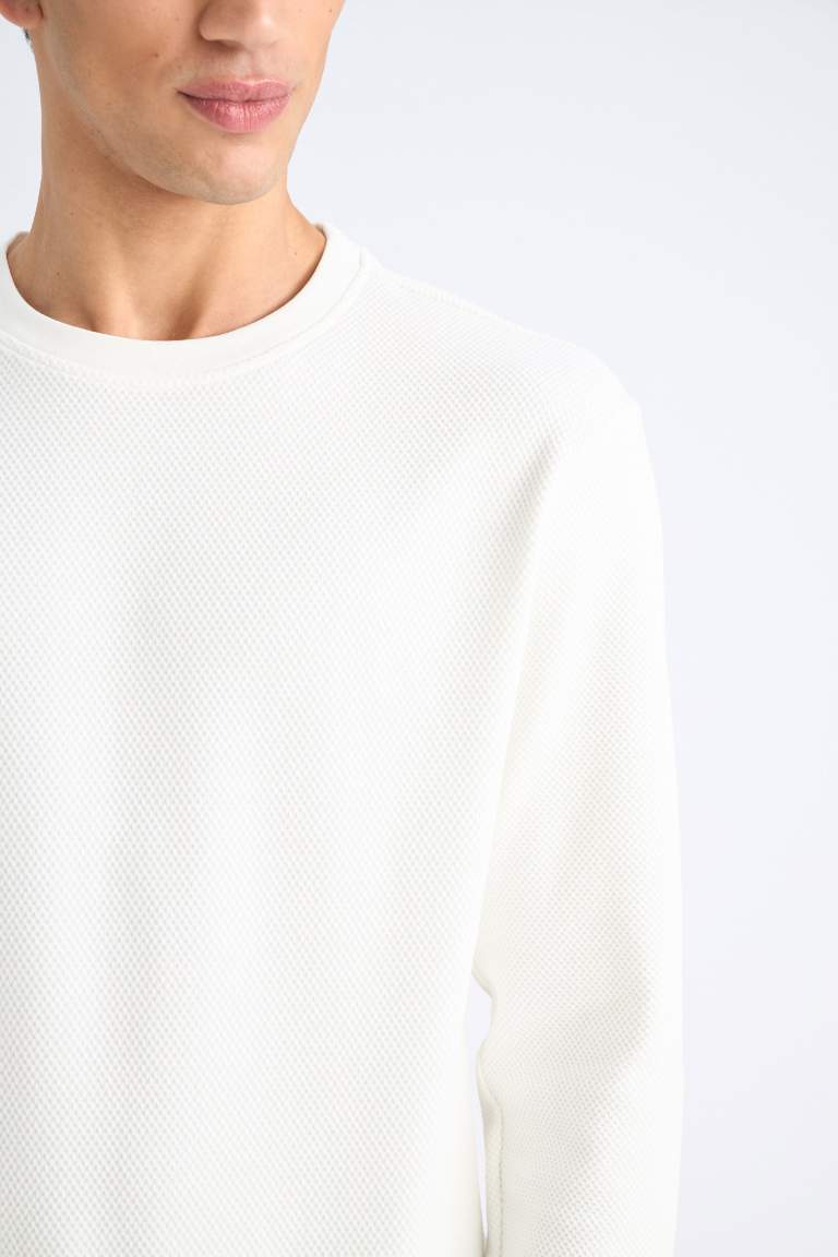 Regular Fit Long Sleeve Sweatshirt