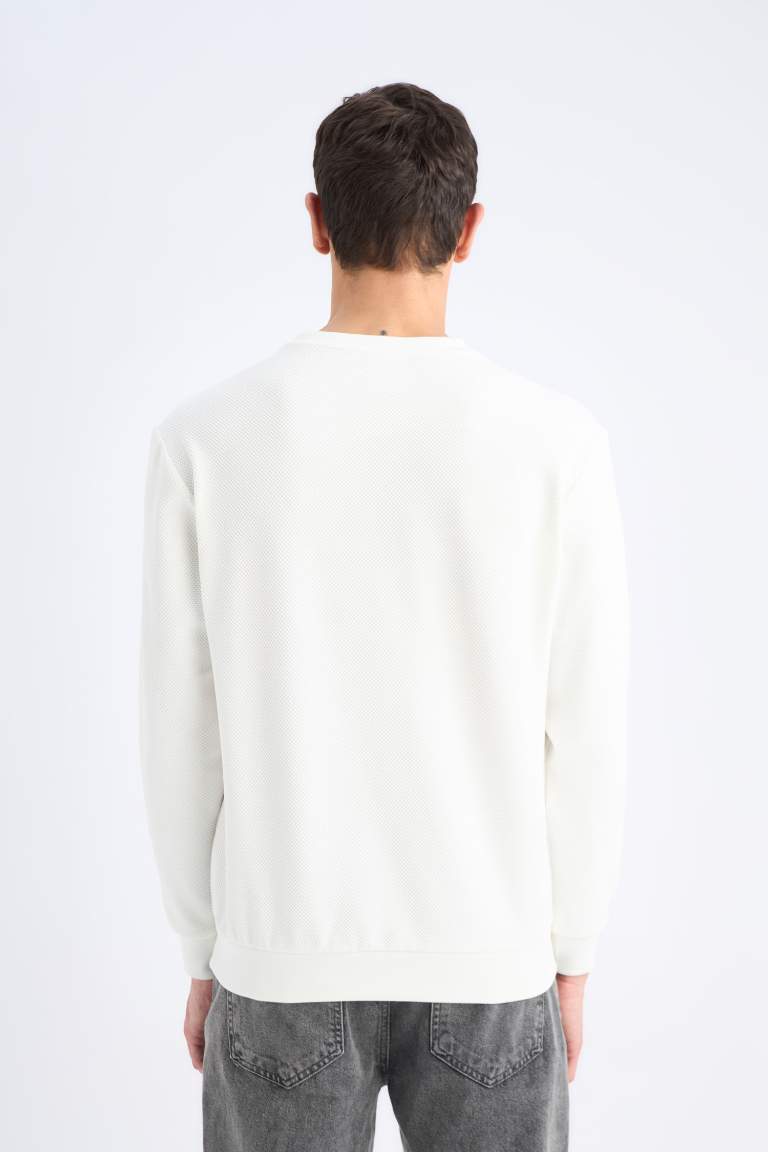 Regular Fit Long Sleeve Sweatshirt