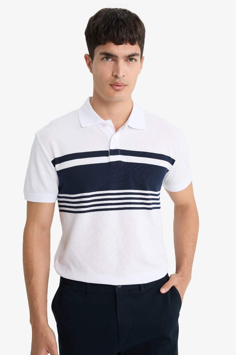 %100 Pamuk Regular Fit Polo Yaka Kısa Kollu Çizgili Tişört