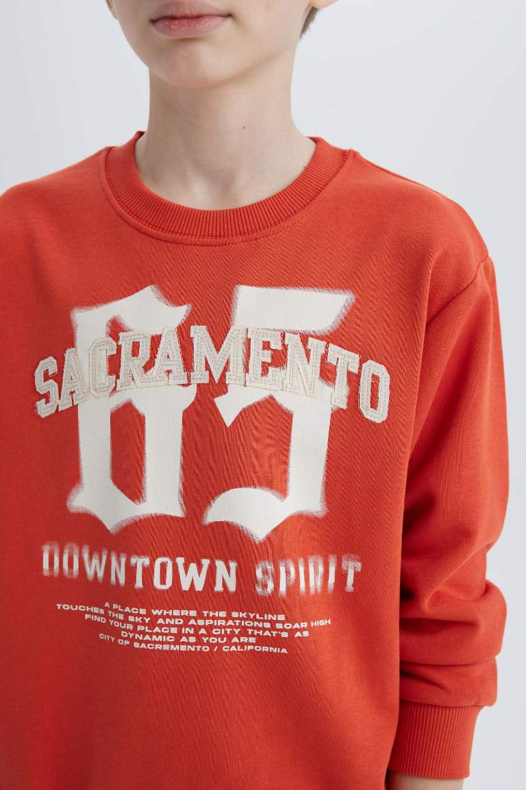 Boy Crew Neck Printed Sweatshirt