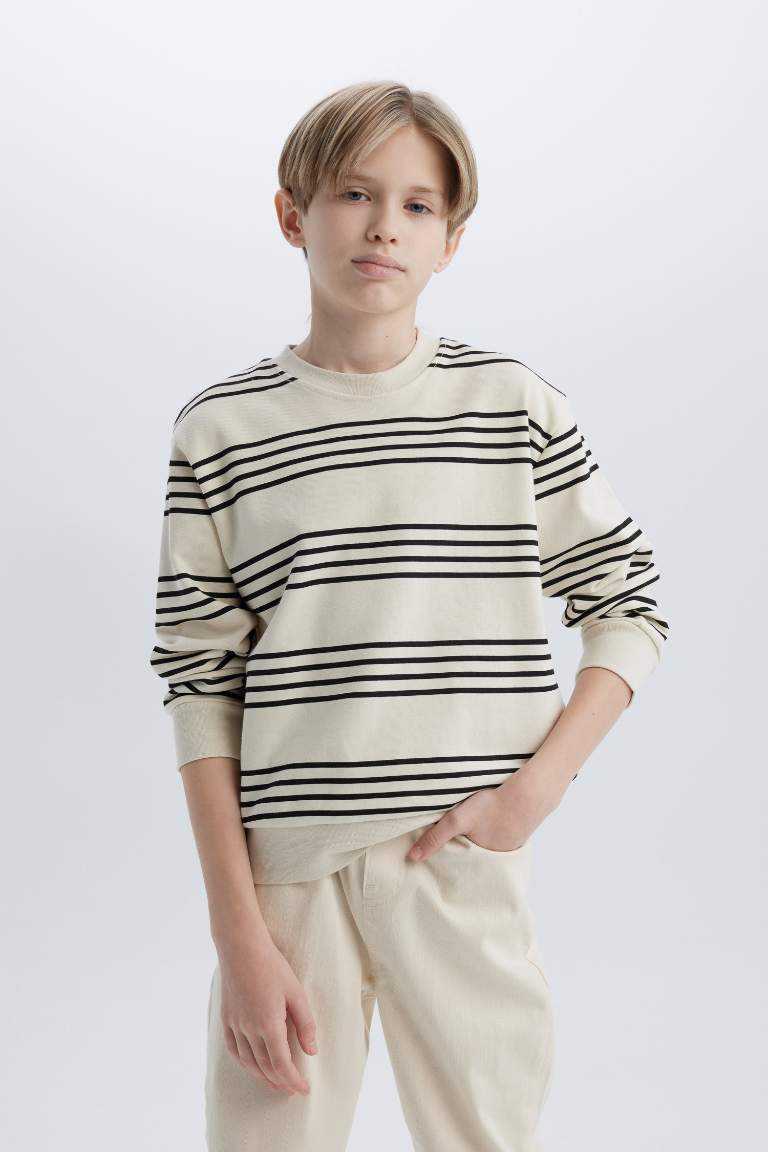 Boy Crew Neck Striped Sweatshirt