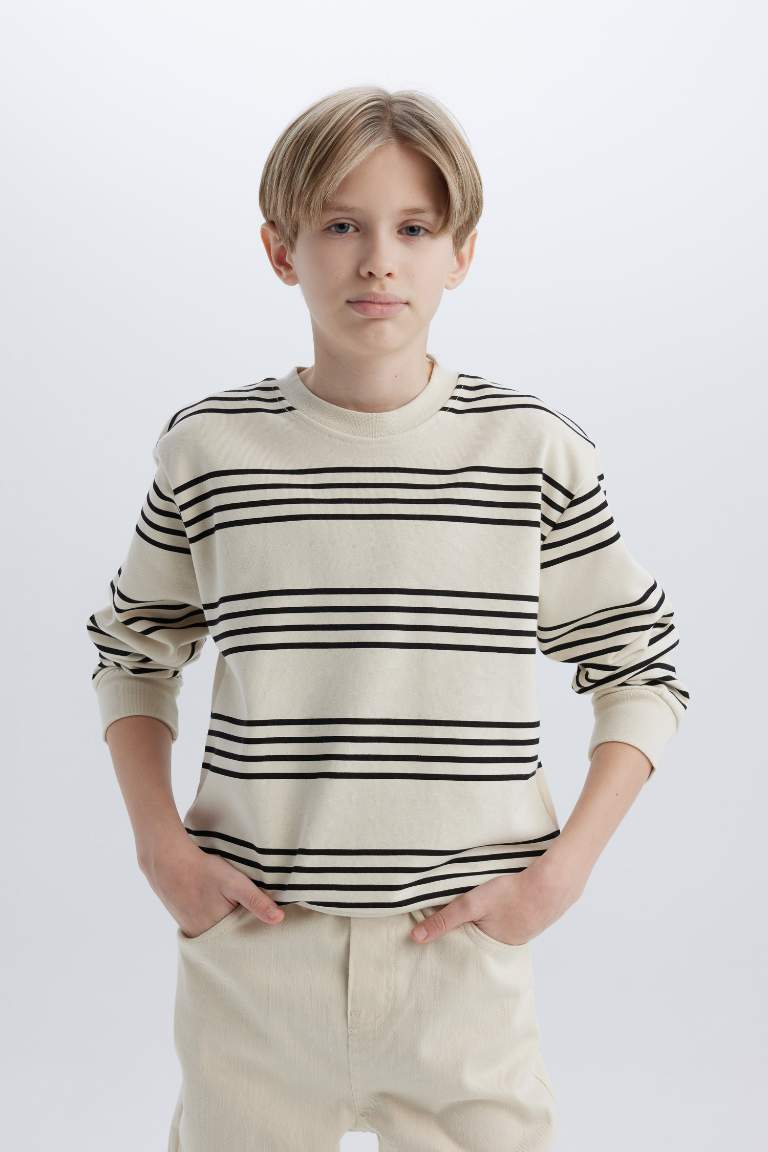 Boy Crew Neck Striped Sweatshirt