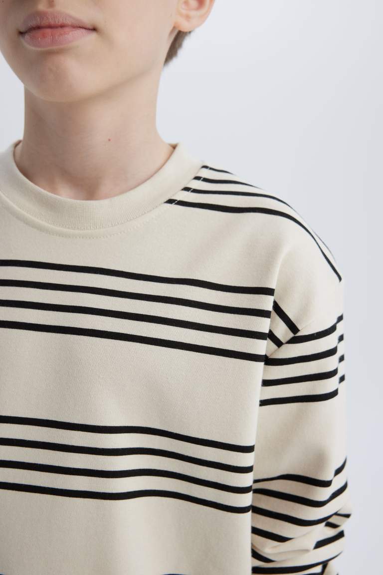 Boy Crew Neck Striped Sweatshirt