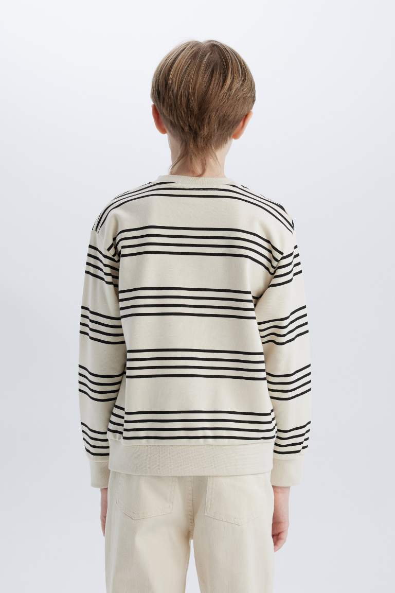 Boy Crew Neck Striped Sweatshirt