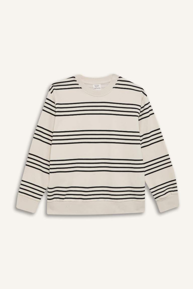 Boy Crew Neck Striped Sweatshirt