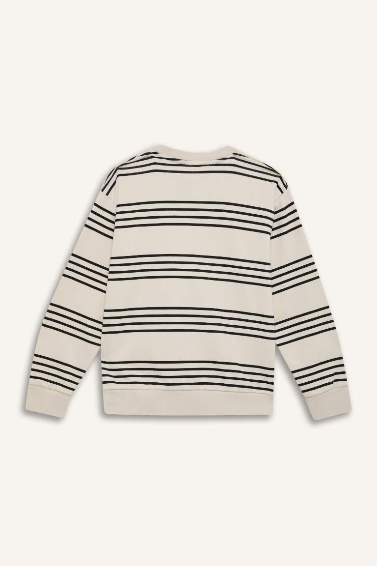 Boy Crew Neck Striped Sweatshirt