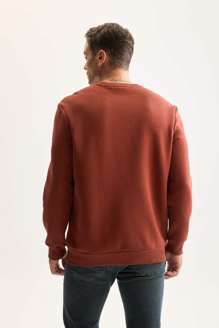 3 İplik Pamuklu Şardonlu İçi Polarlı Regular Fit Bisiklet Yaka Kalın Sweatshirt