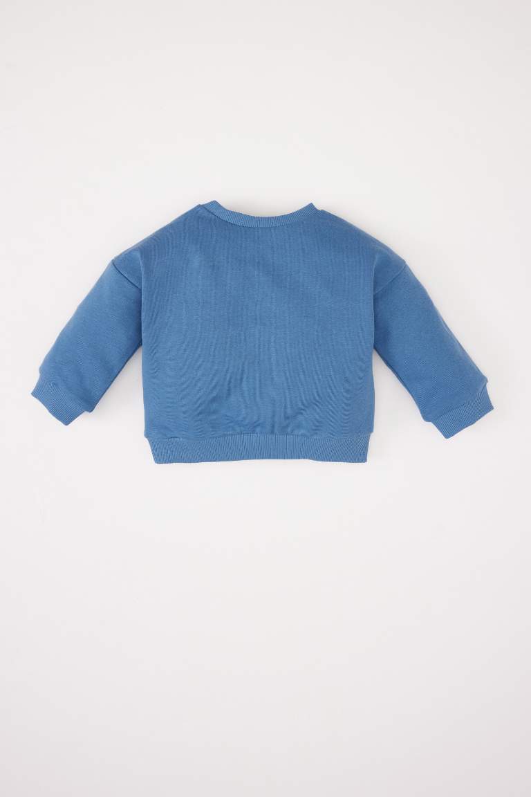 Baby Boy Crew Neck Printed Sweatshirt