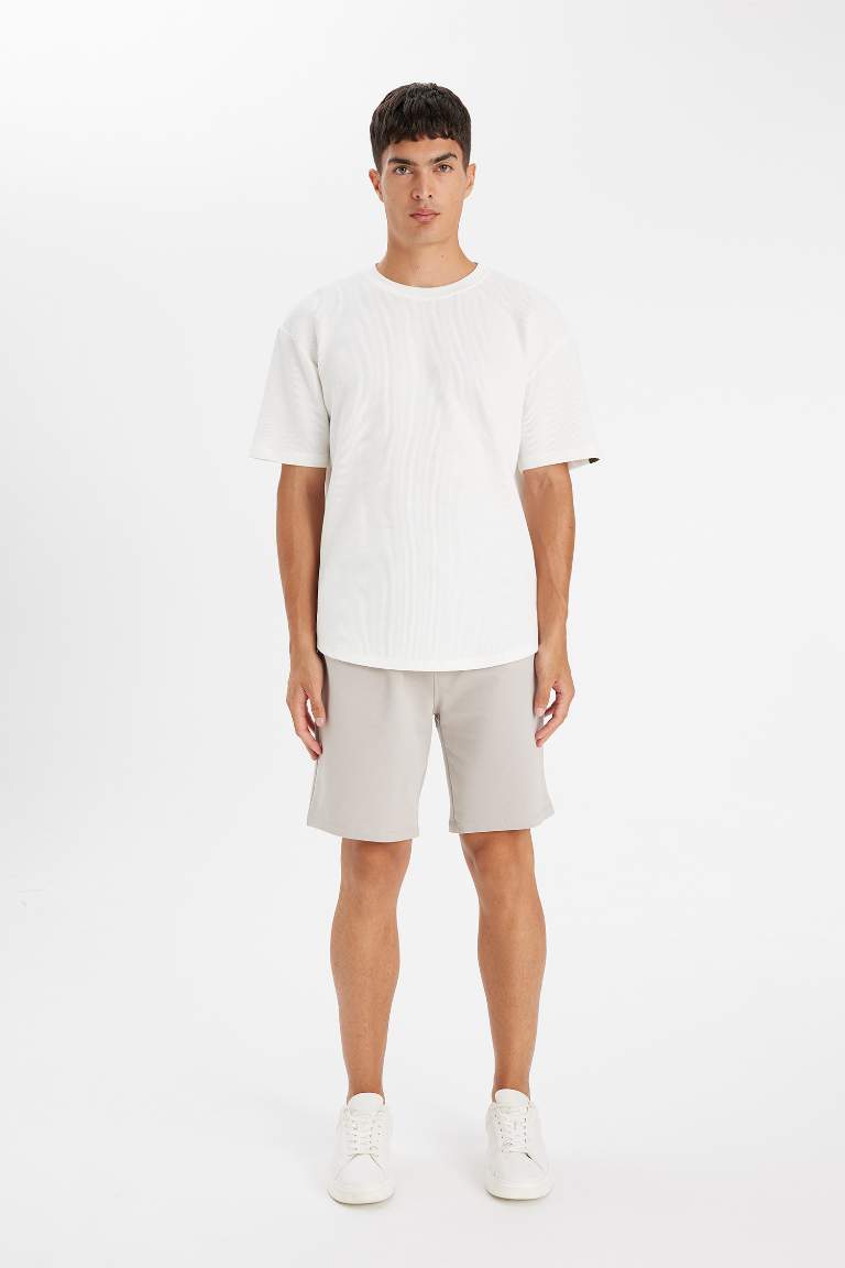 Regular Fit Bermuda Basic Shorts