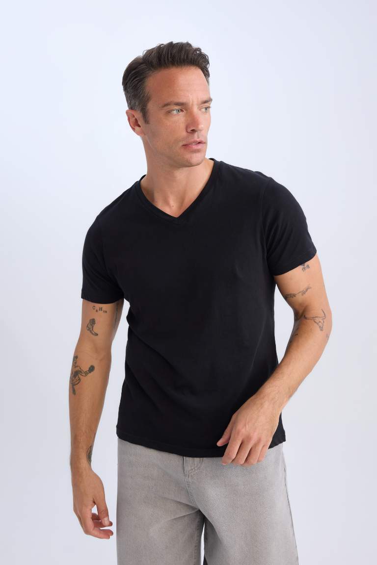 New Regular Fit V-Neck T-Shirt