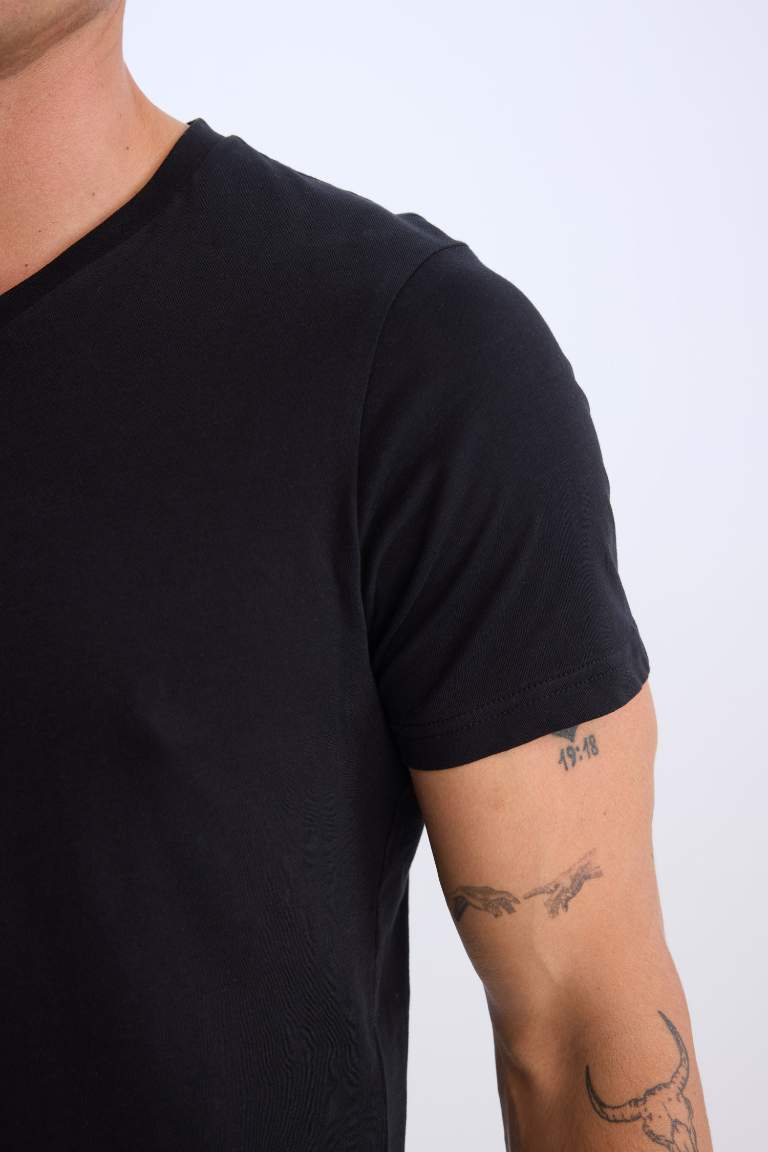 New Regular Fit V-Neck T-Shirt