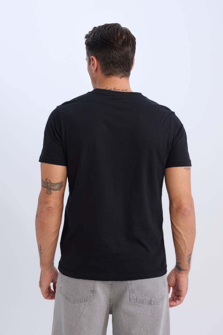 New Regular Fit V-Neck T-Shirt