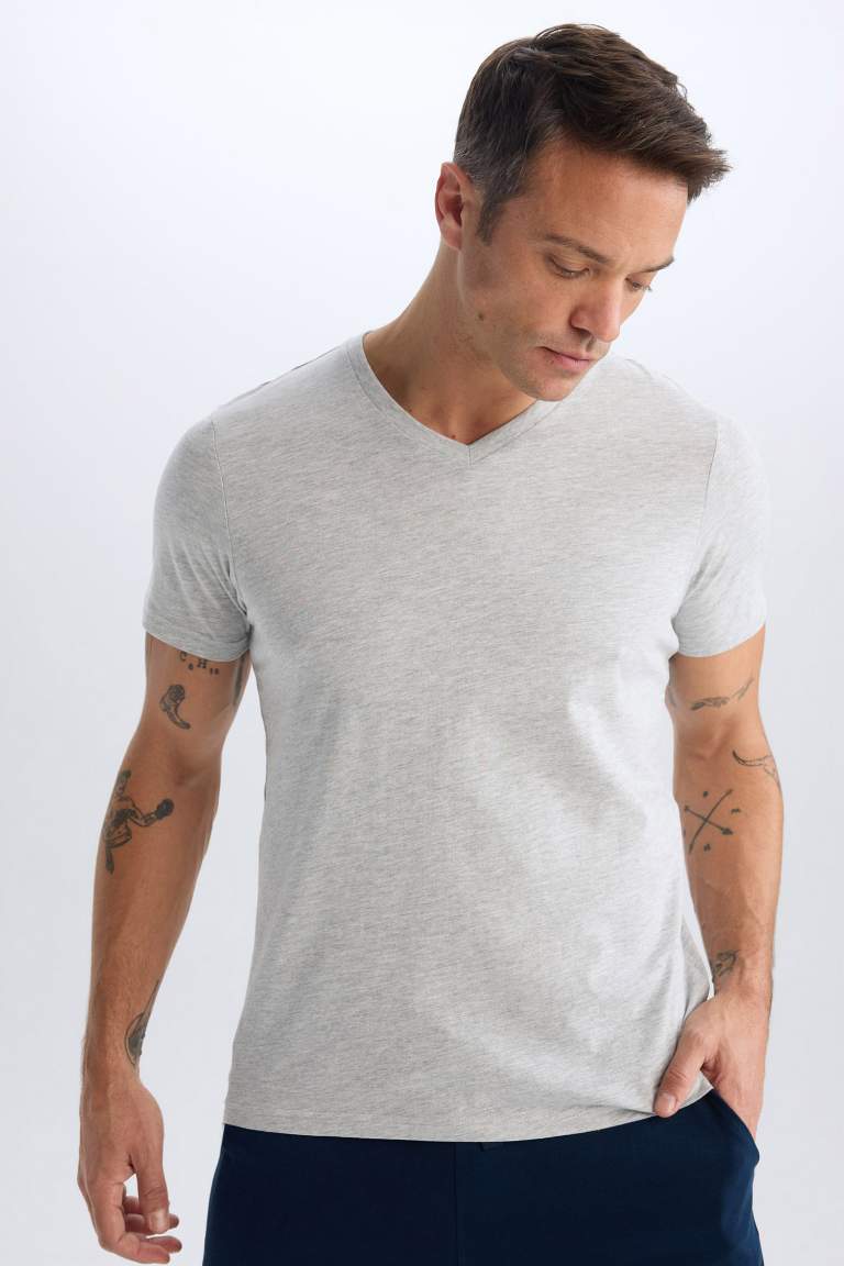 New Regular Fit V-Neck T-Shirt