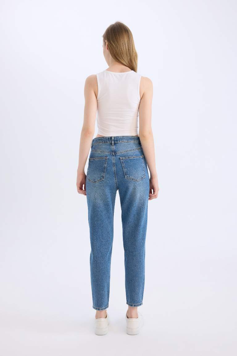 Lina Lina Mom Fit Normal Waist Straight Leg Jeans