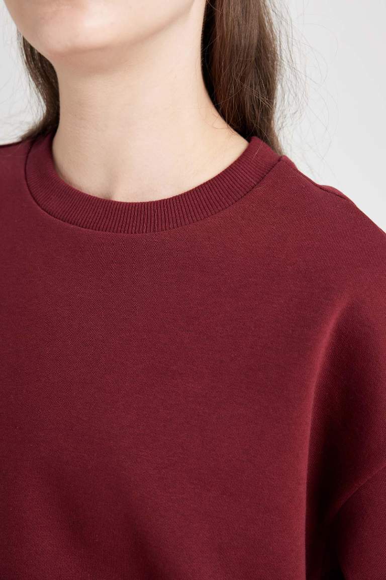Regular Fit Normal Kalıp Basic İçi Kalın Polarlı Eşofman Takımı